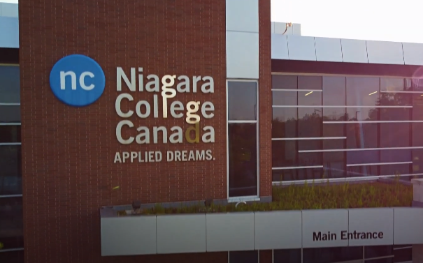 Airport to Niagara College - Welland Campus