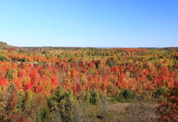 Mono Cliffs Provincial Park