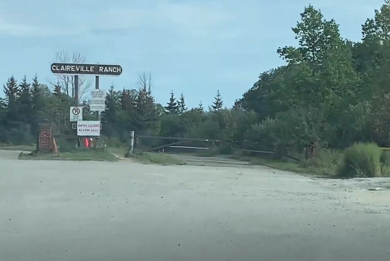 Pearson Airport to Claireville