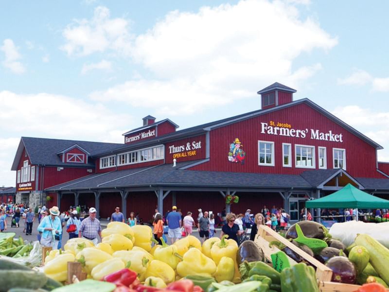 Toronto Pearson Airport Taxi to St. Jacobs Farmers Market